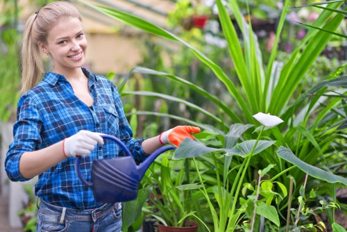 Team of Putney gardeners assessing a garden