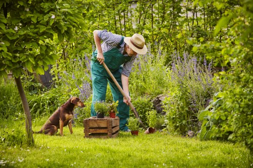 Senior horticultural manager reviewing site photographs for investigation